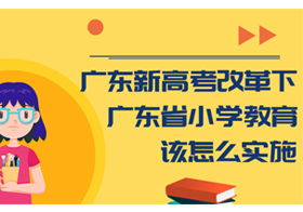 广东新高考改革下，广东省小学教育该怎么实施