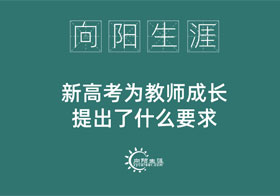 新高考为教师成长提出了什么要求