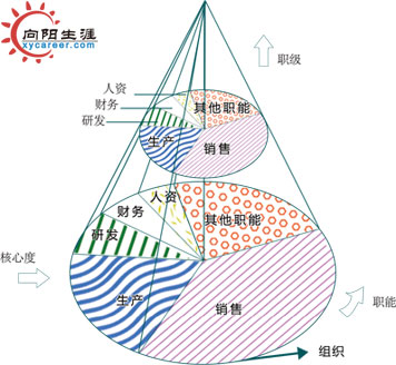 员工职业发展圆锥体模型