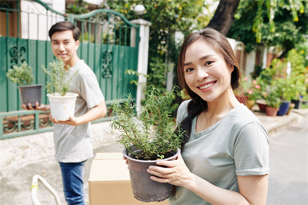 职业规划师：为什么你的职场之路充满迷茫（1）